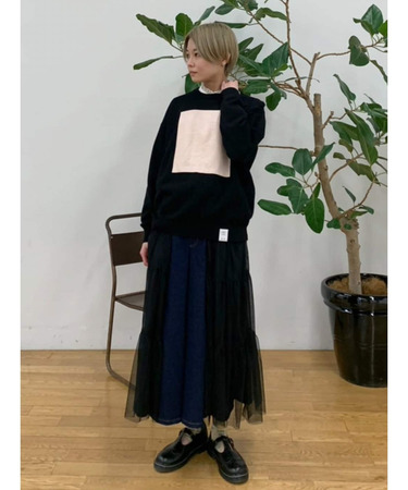 テイスニット