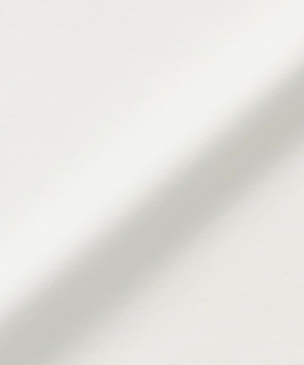 【Lサイズ】スーピマコットンボートネックカットソー 詳細画像