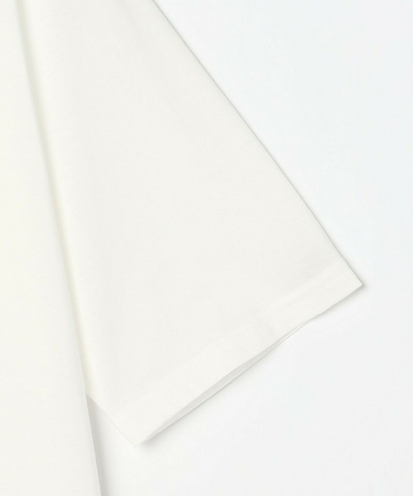 【Lサイズ】コットン天竺Tシャツ 詳細画像