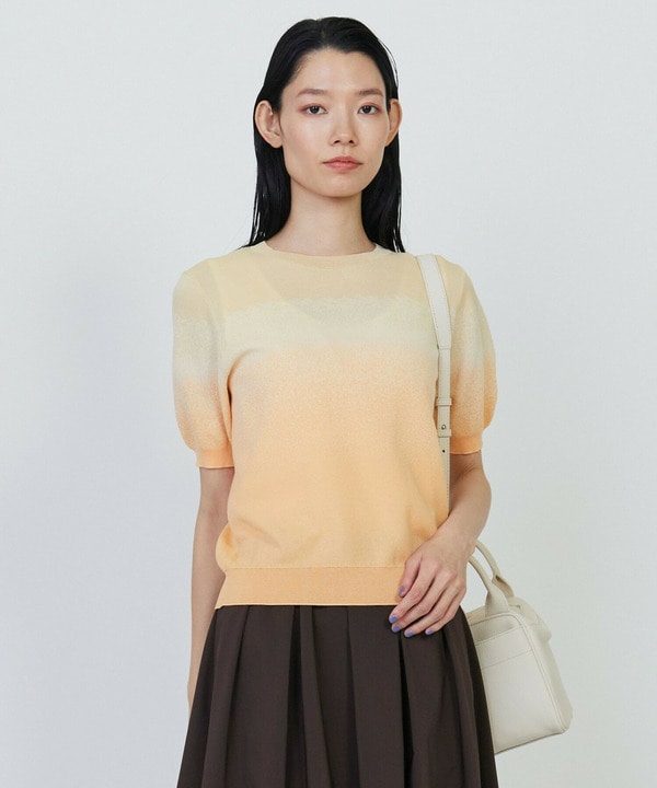 グラデーションジャガードクルーネックニット 詳細画像 イエロー系その他